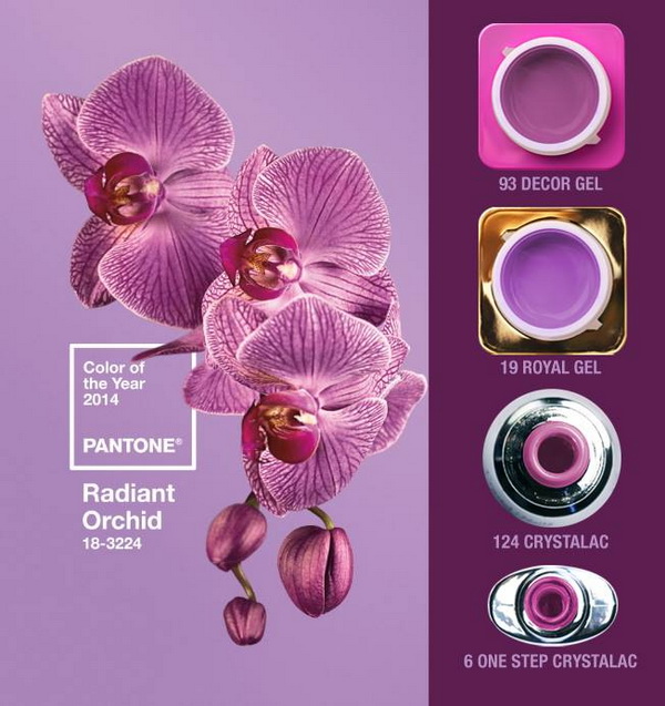 Color of the Year for 2014: Radiant orchid