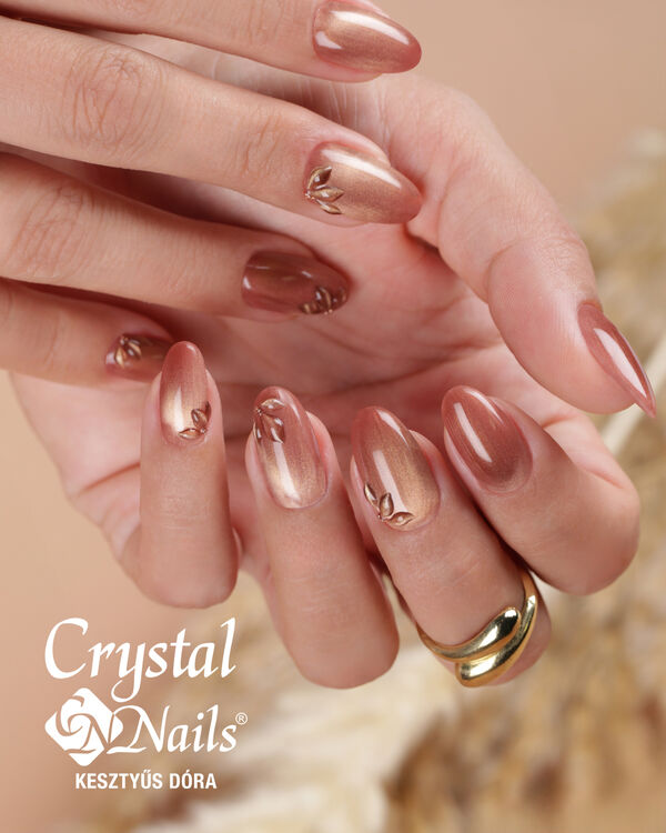 Maple Tiger Eye fall Nails 